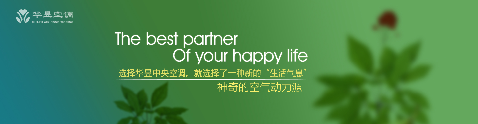 名目繁多网